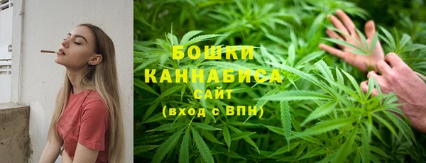 альфа пвп Медногорск