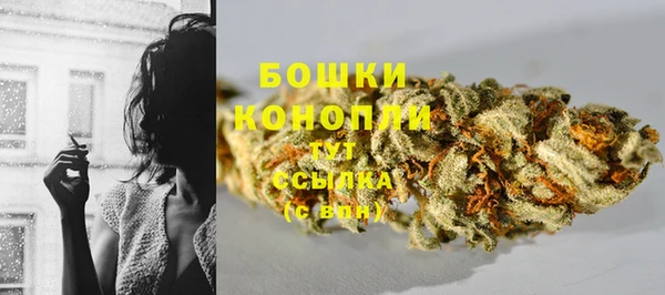альфа пвп Медногорск