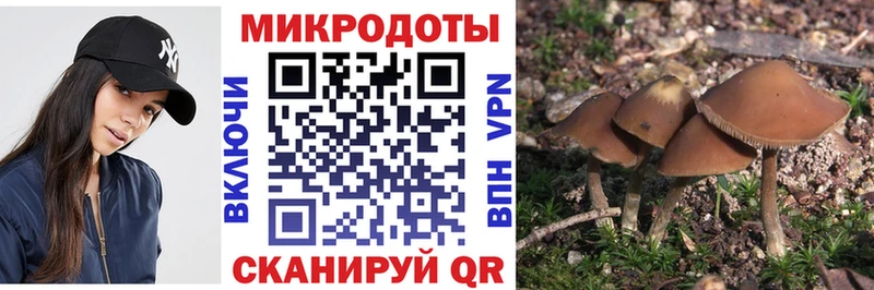 цена   Павловская  Галлюциногенные грибы мухоморы 